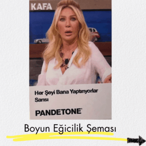 2 kopyası