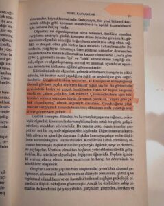 Psikodinamik Psikiyatri ve Normaldışı Davranışlar IMG 3837 239x300