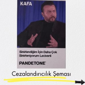 cezalandırıcılık
