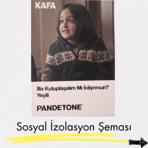 sosyalizolasyon